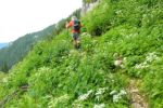 2014-07-05_Laengental-N-Hochweg (858). JPG